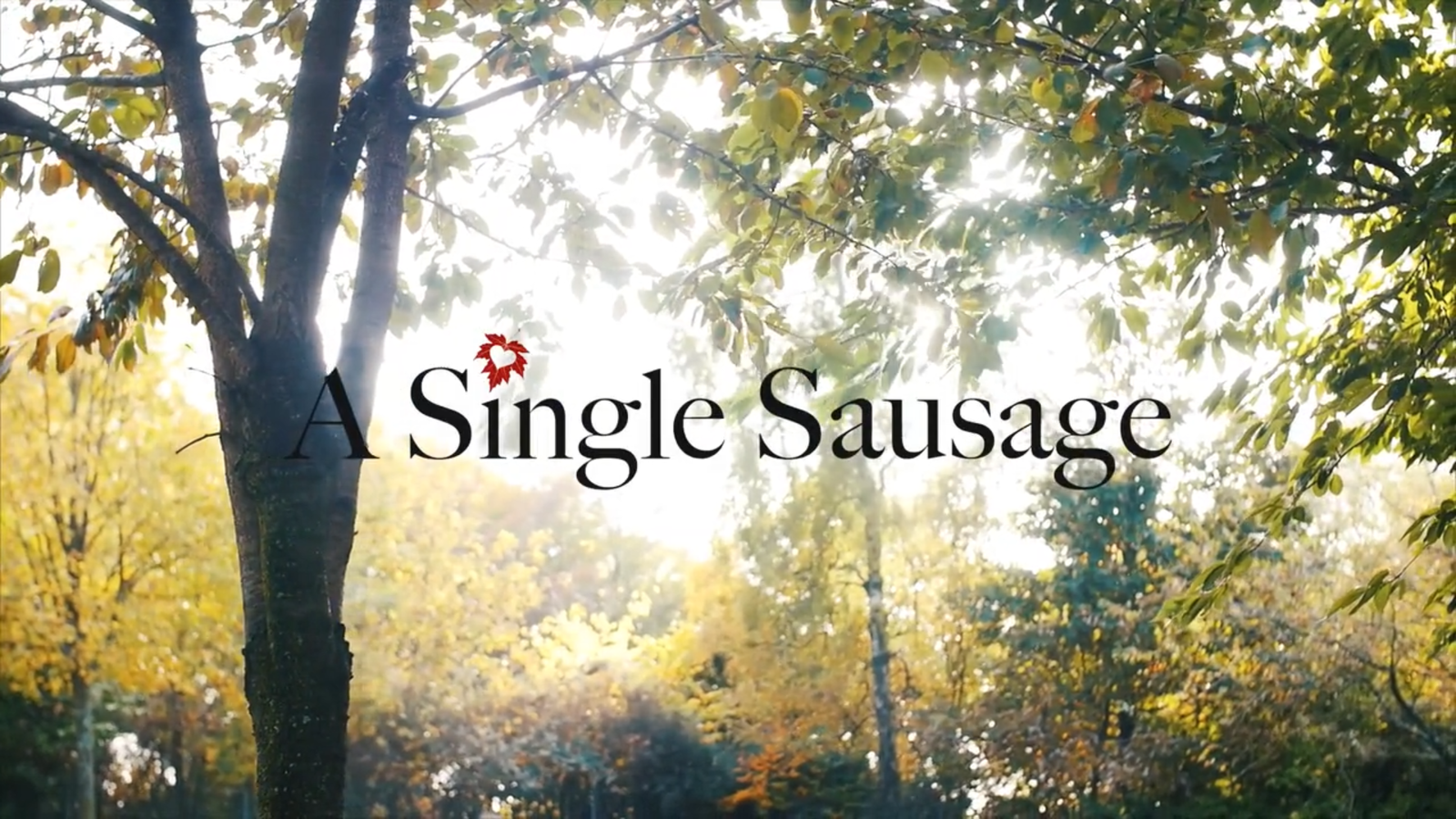 Short Film - A Single Sausage