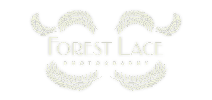 Wedding Photography Logo Design